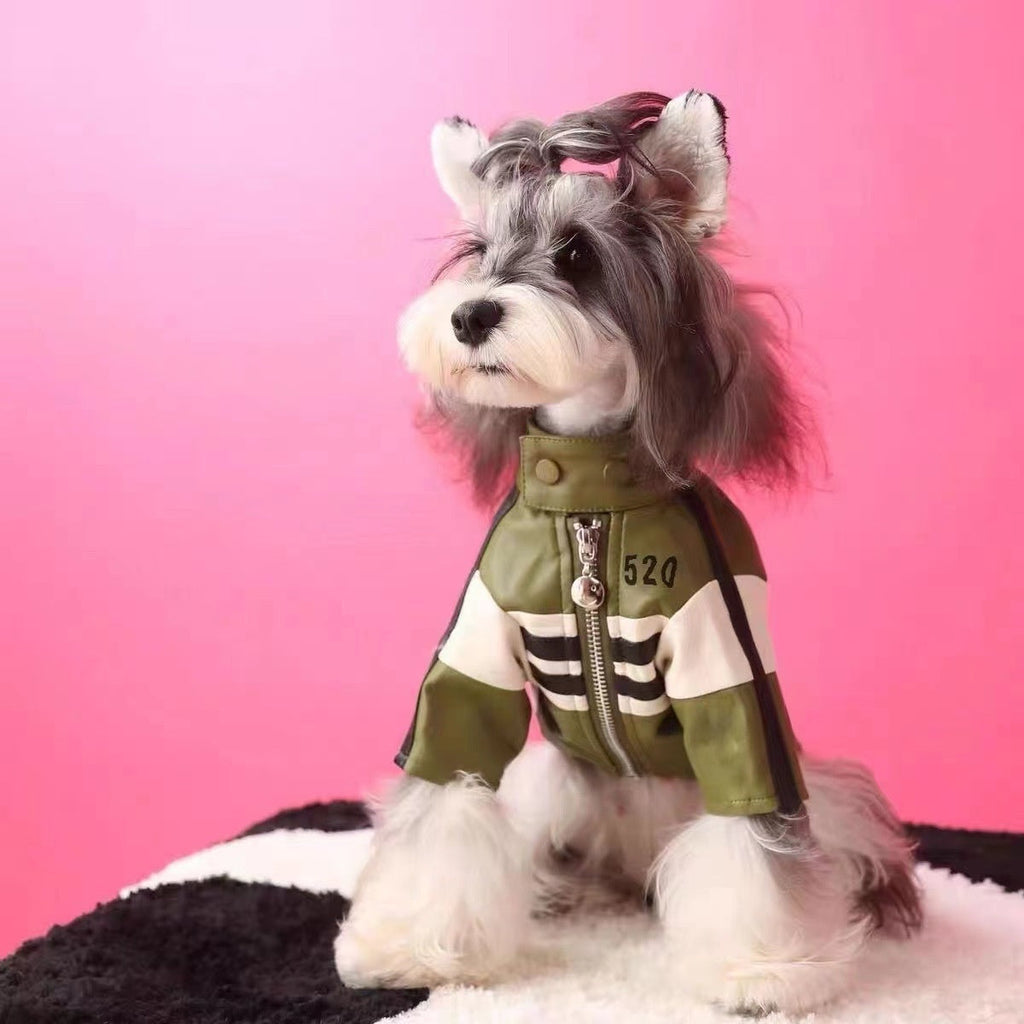 Dog Motorcycle Jacket | PU Leather Pet Coat | Green & Pink