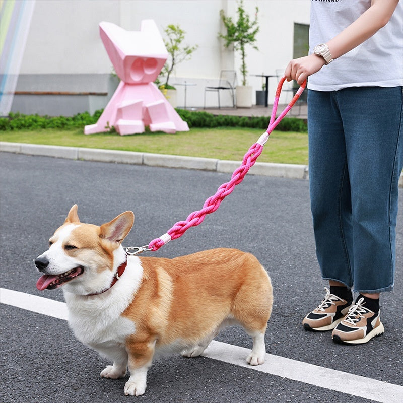 Handmade Woven Dog Leash | Polyester Fiber | 6 Colors