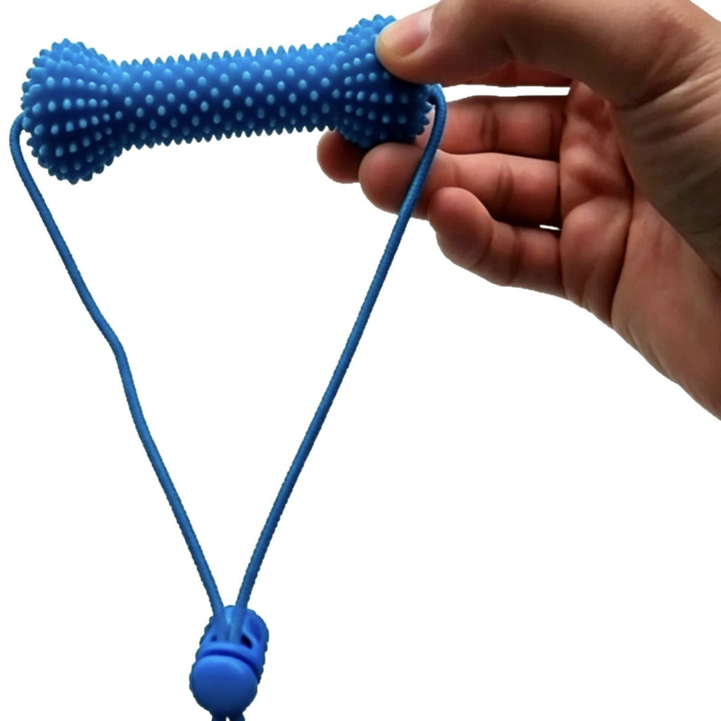 Dog Dental Chew Stick | Teething Toy for Puppies & Adult Dogs