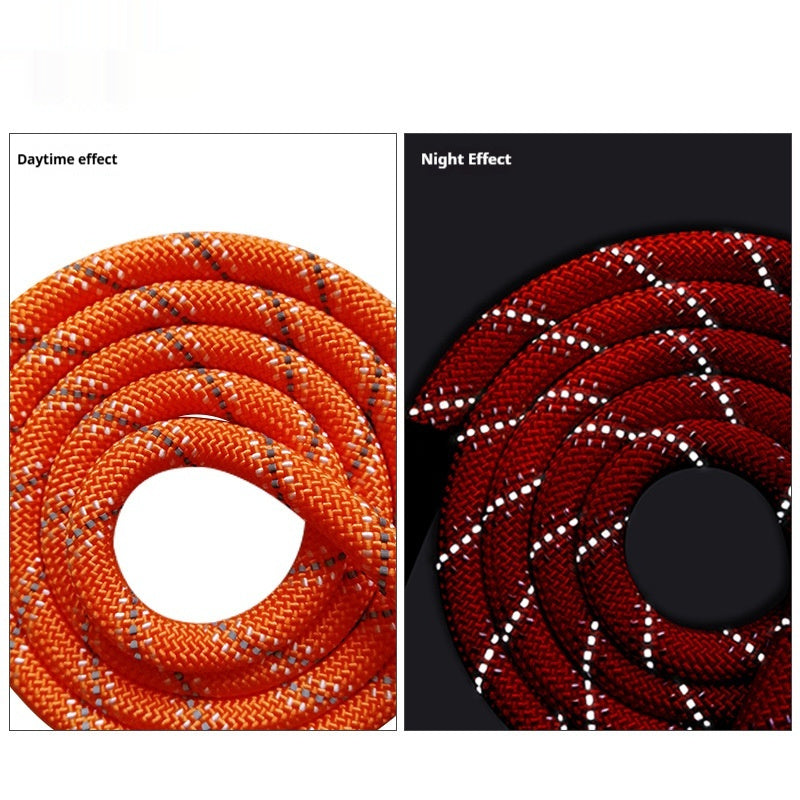 Dog Leash | 2-Meter Extended Strap | Black & Orange