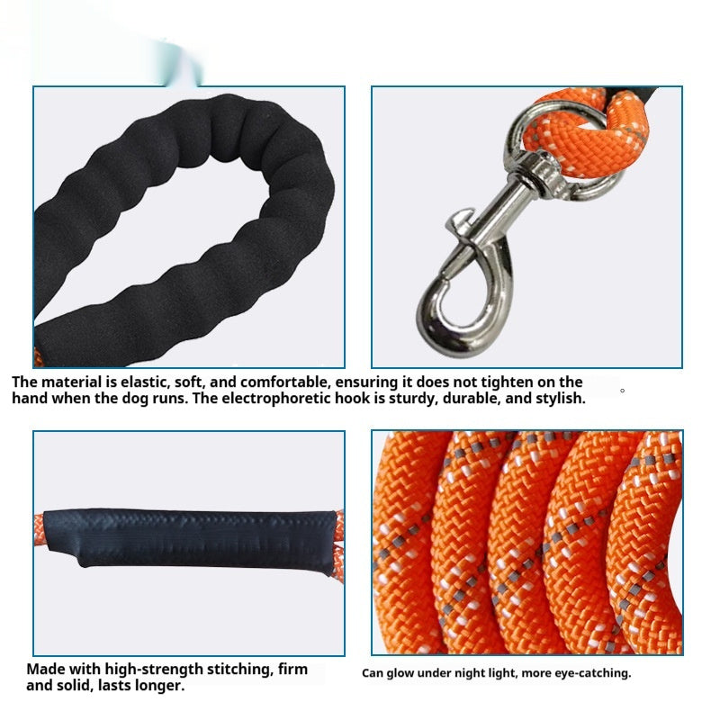 Dog Leash | 2-Meter Extended Strap | Black & Orange