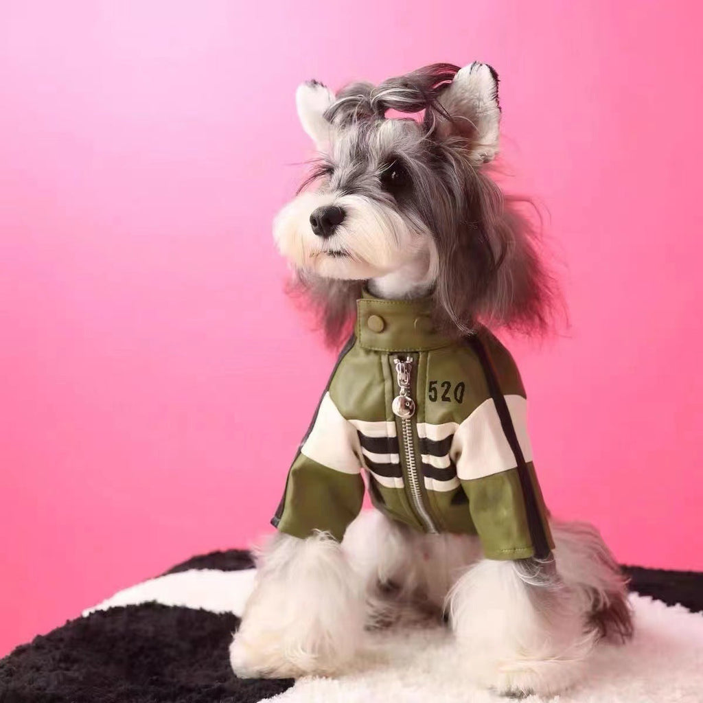 Dog Motorcycle Jacket | PU Leather Pet Coat | Green & Pink